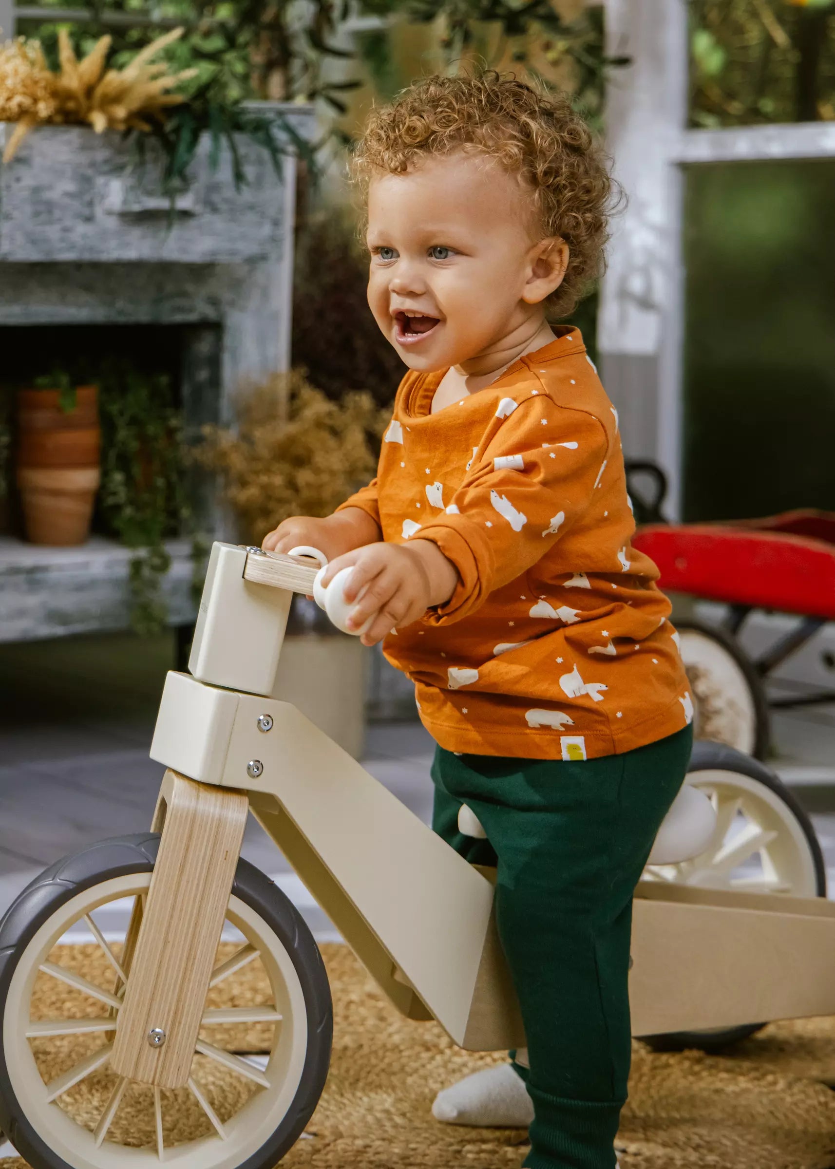 Image of Long-Sleeve Shirt Hazel Dragonfly 9-12m