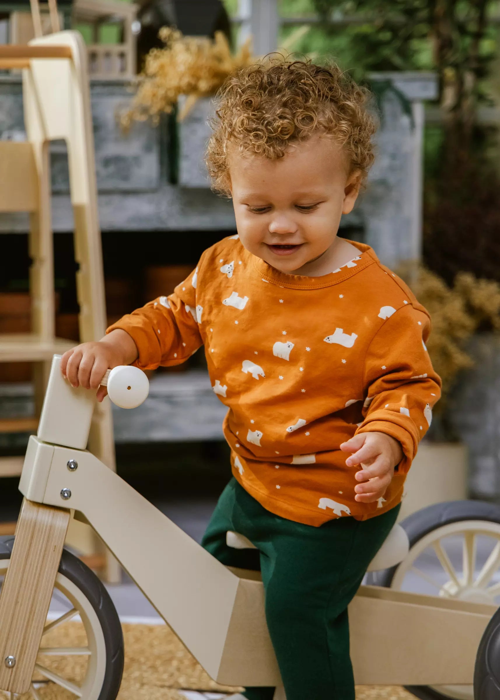 Image of Long-Sleeve Shirt Hazel Dragonfly 9-12m